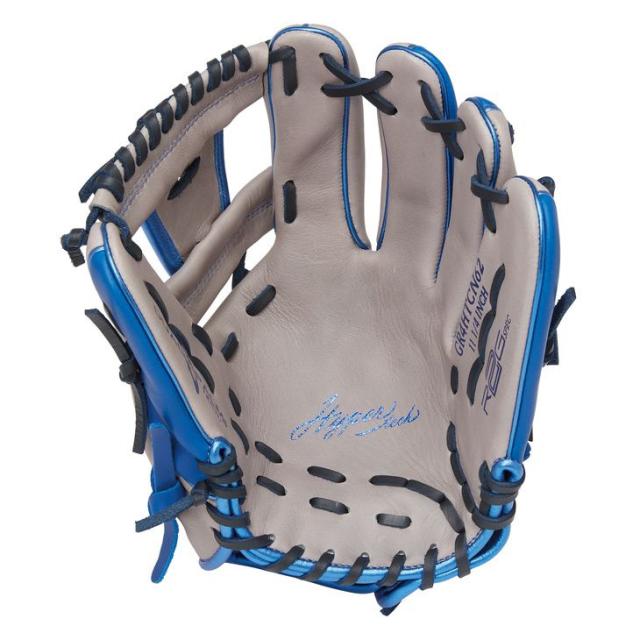Rawlings 内野手用グローブ 2個セット
