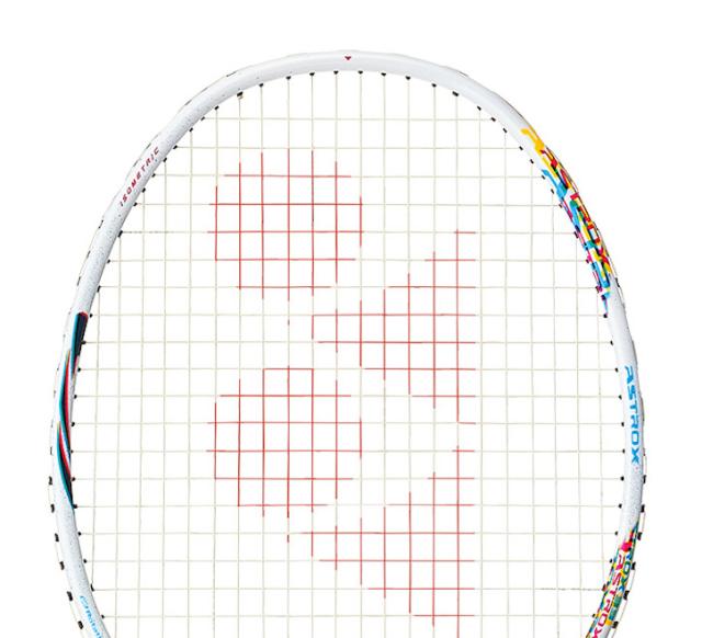 アストロクス33 AX33 5U6 ケース付き ガッド張り無料