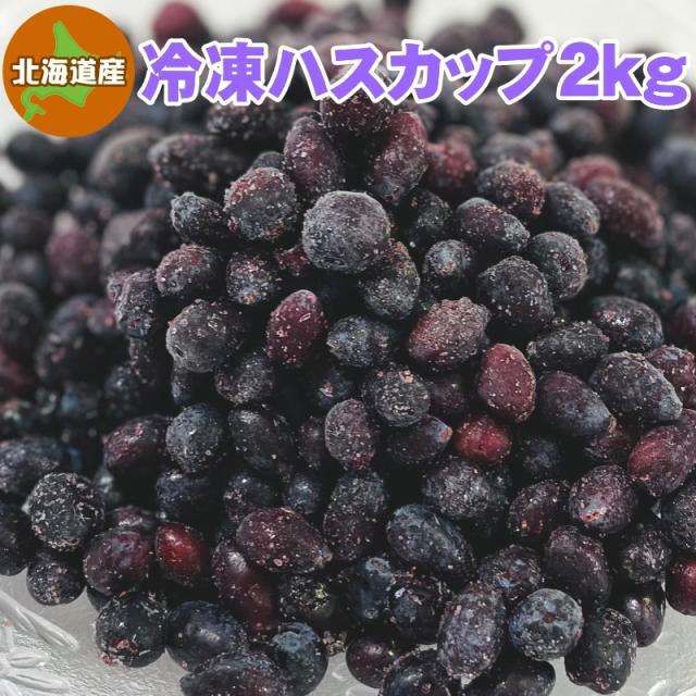 冷凍ハスカップ 2kg 北海道産 送料無料 その他冷凍フルーツ