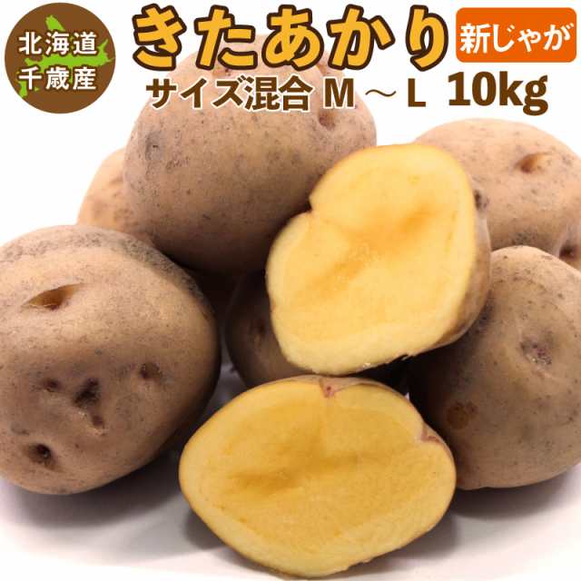 北海道産 きたあかり 新じゃが Ｍ～Ｌサイズ混合 10kg ご予約販売 9月下旬以降発送予定 じゃがいも ジャガイモ キタアカリ 北あかり  送の通販はau PAY マーケット - チトセスポーツ au PAY マーケット店