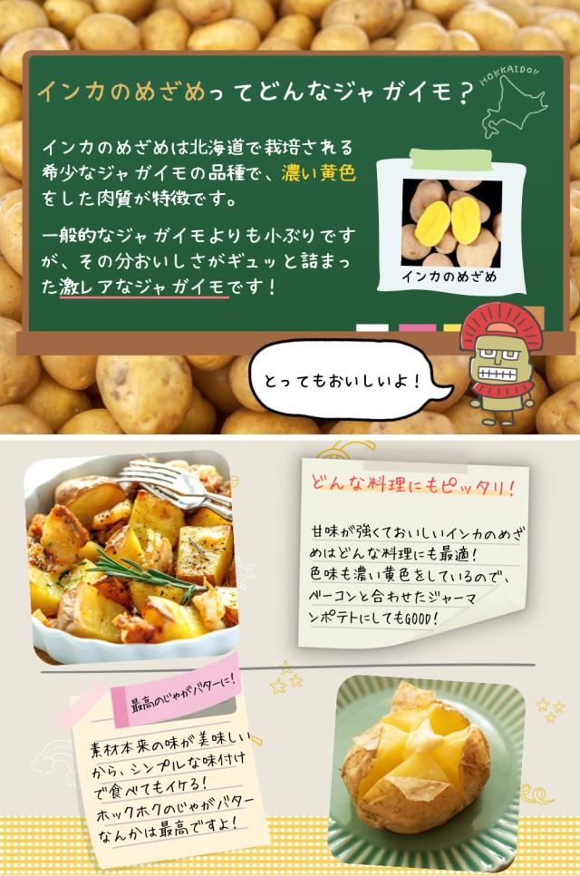 北海道 熟成じゃがいも インカのめざめ S 20kg インカのめざめ 越冬