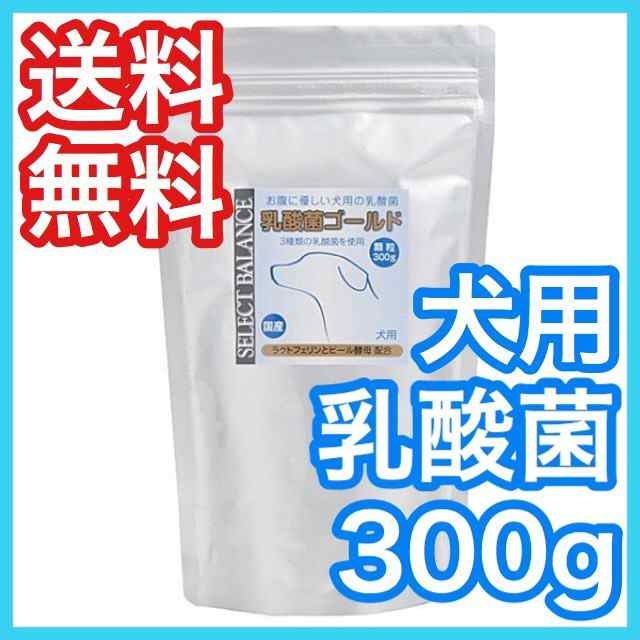 セレクトバランス 乳酸菌ゴールド 犬用 顆粒 300g 犬用 膝 関節 健康補助食品 高齢犬 シニア ドッグフードの通販はau Pay マーケット プレミアムフード専門店asuka Au Pay マーケット店