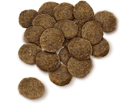 セレクトバランス アダルト 成犬用 チキン 小粒 7kg ドッグフード_1