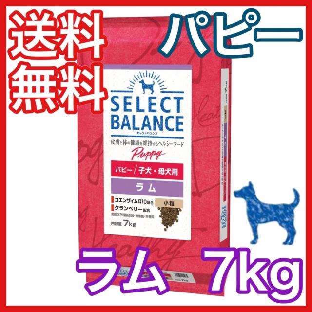 送料無料！ セレクトバランス パピーチキン小粒 SELECT BALANCE