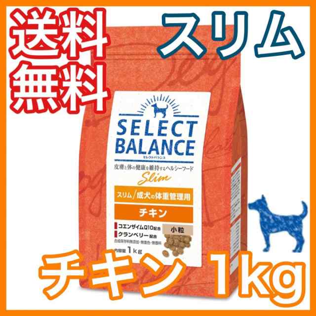 セレクトバランス 乳酸菌ゴールド 犬用 顆粒 300g