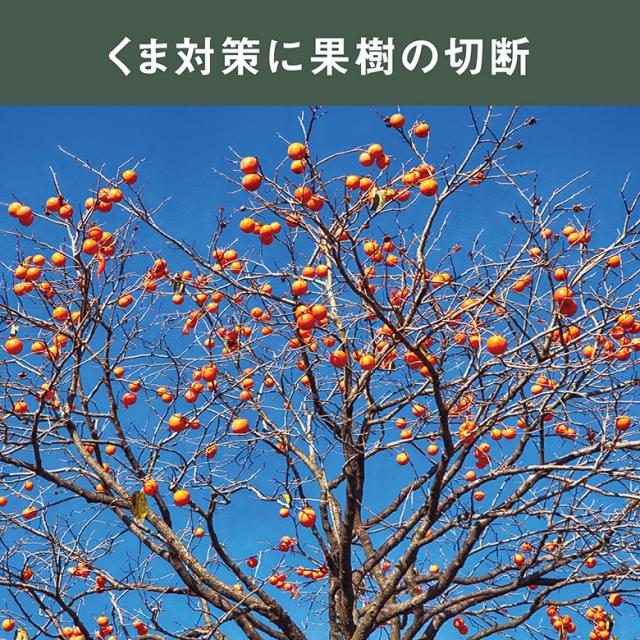 【45％引き】ムサシ 充電式大枝カッター（BCT-1000） バッテリー・充電器付き チェーンソー 切断工具 園芸用機械 切断機械 太枝 花 ガーデン DIY ガーデニング 丸太 庭木 幹 太い枝 電動 伸縮 剪定 パワフル コードレス 枝木 伸縮_6