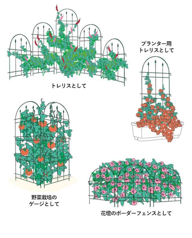 【トレリスフェンスクラシックL 2P No.182】 GREENGARDEN ガーデンフェンス アイアンフェンス 植物 ガーデニング用品 園芸用品 庭園 収穫 農業 緑 花 ガーデンファニチャー 小林金物 燕三条_2