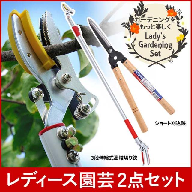 レディース園芸2点セット】 3段伸縮式高枝切鋏 ショート刈込鋏