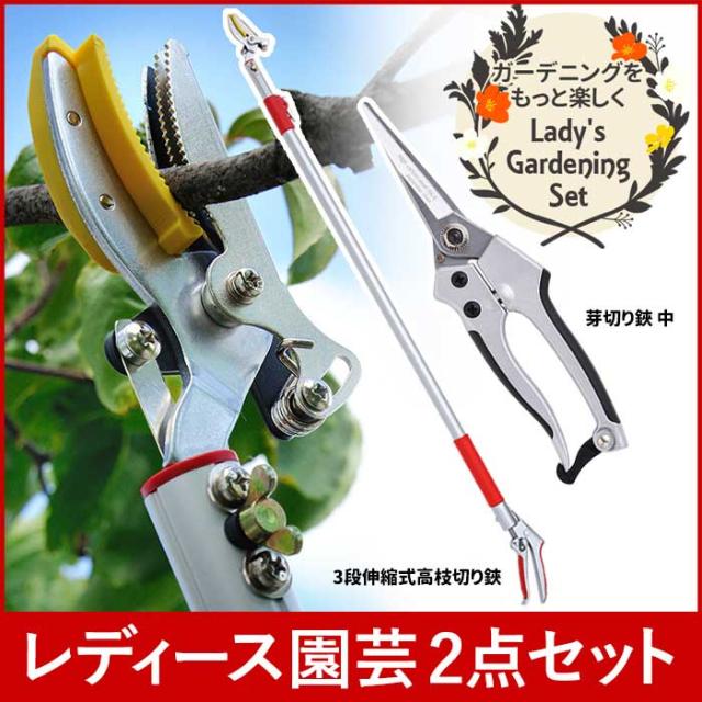 【レディース園芸2点セット】 3段伸縮式高枝切鋏 芽切鋏 中 高枝切りバサミ 超軽量 伸縮 はさみ 剪定鋏 ガーデニング用品 枝切 ハサミ 園芸用品 庭園 軽量鋏 女性用 軽い 摘花 高枝切りばさみ_1