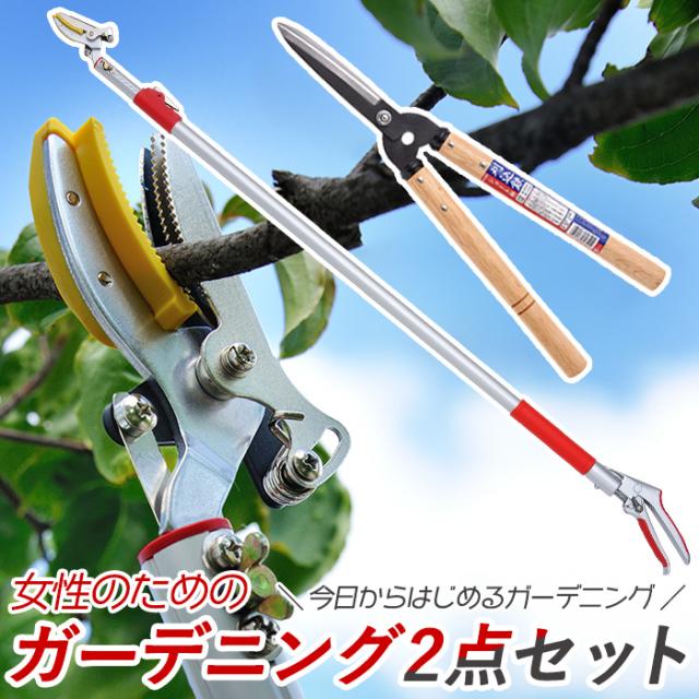 レディース園芸2点セット】 3段伸縮式高枝切鋏 ショート刈込鋏