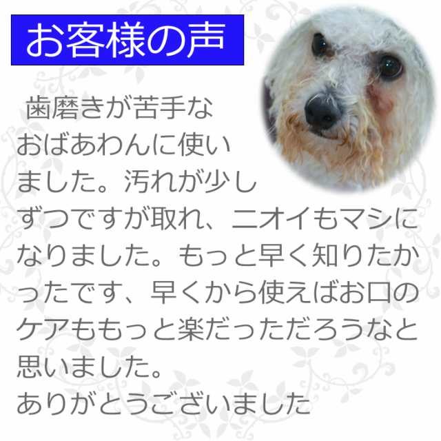 歯ブラシ 玩具 歯石除去 ジェル状 マジックゼオ 歯石取り 犬 口臭予防 犬 猫 歯磨き ペースト 歯周病菌 ミスト 器具 - gourmetemporiodosnobres.com.br 歯ブラシ 玩具 歯石除去 ジェル状 マジックゼオ 歯石取り 犬 口臭予防 犬 猫 歯磨き ペースト 歯周病菌 ミスト 器具 - gourmetemporiodosnobres.com.br