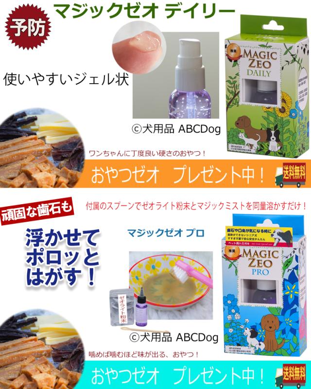 犬 歯石取り マジックゼオ プロ デイリー 犬 猫 歯磨き ペット 歯みがき粉 ペースト 歯ブラシ デンタルケアの通販はau Pay マーケット 犬用品abcdog マジックゼオ専門店