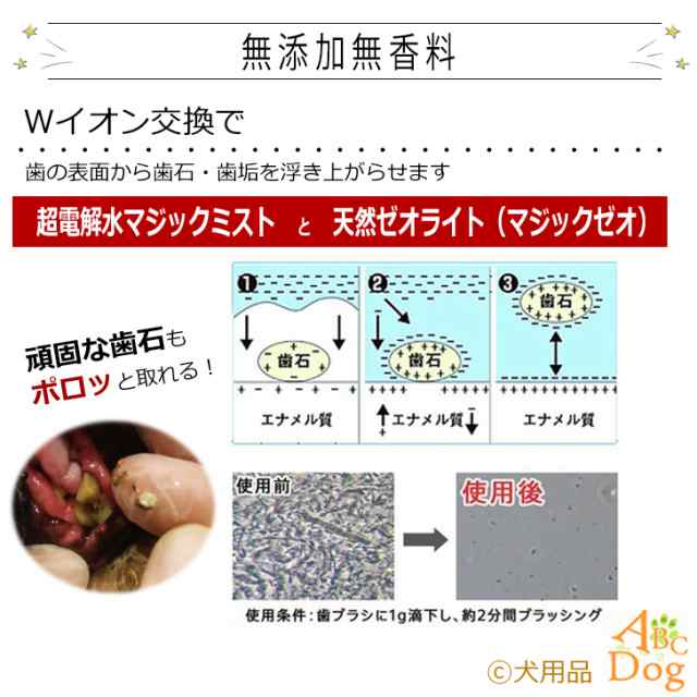 犬 歯石取り マジックゼオ プロ デイリー 犬 猫 歯磨き ペット 歯みがき粉 ペースト 歯ブラシ デンタルケアの通販はau PAY マーケット - 犬用品ABCdog  マジックゼオ専門店