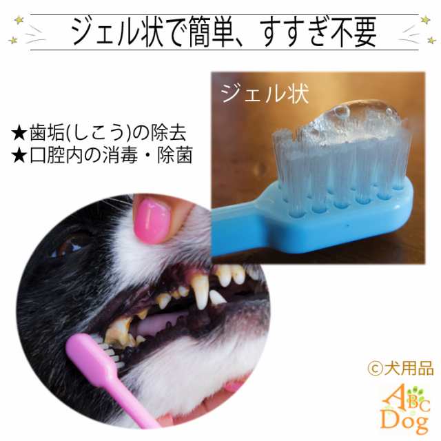 返品 交換対象商品 マジックゼオdaily デイリー業務用300ｍｌ 犬用歯磨き粉 犬用品 Orointegrated Coop