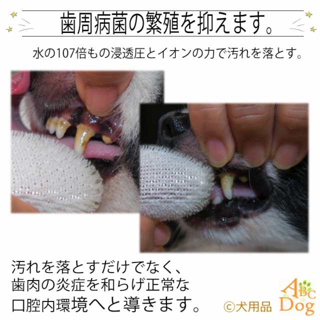 犬 歯石除去 黄ばみ マジックゼオデイリー業務用 送料無料 犬 猫 ペット 歯磨き 歯みがき粉 ジェル状 歯ブラシ 玩具 歯石取り 器具 歯の通販はau Pay マーケット 犬用品abcdog マジックゼオ専門店