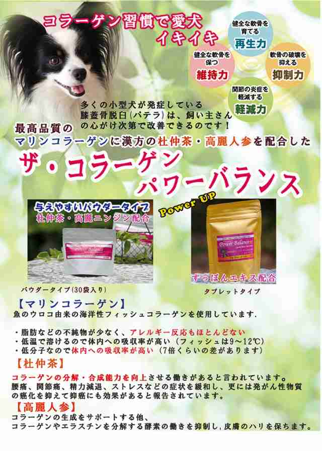 ザ コラーゲン パワーバランス 顆粒 30本入り パック 犬用サプリメント ストレスフリー Collagen Power Balance 賞味期限21年6月の通販はau Pay マーケット 犬用品abcdog マジックゼオ専門店