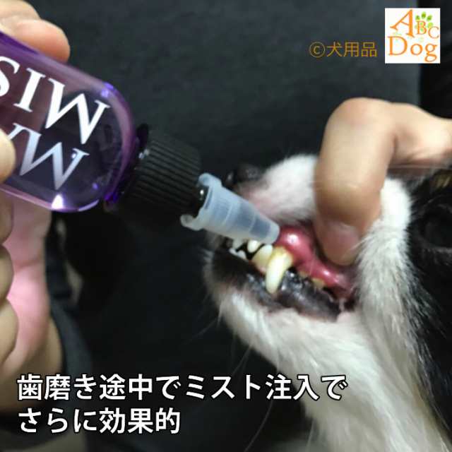 犬 歯石除去 マジックゼオ プロ デイリー マジックミスト 送料無料 犬 猫 歯磨き 歯みがき粉 ペースト 歯ブラシ 玩具 歯石取り 器具 歯の通販はau Pay マーケット 犬用品abcdog マジックゼオ専門店