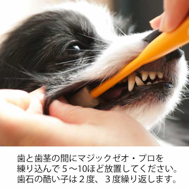 犬 歯石除去 マジックゼオプロ 犬 猫 歯磨き 歯みがき粉 ペースト 歯ブラシ 玩具 歯石取り 器具 歯周病菌 デンタルケアの通販はau Pay マーケット 犬用品abcdog マジックゼオ専門店