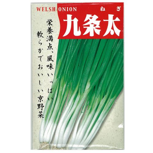 ネギの種 ネギの種 九条太 50mlの通販はau Wowma 菜園くらぶ Au Wowma 店