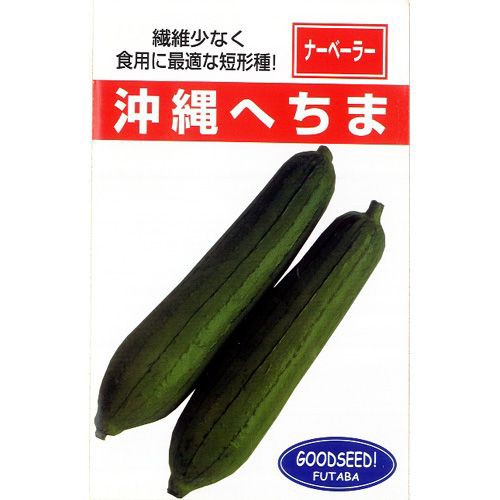 ヘチマの種 沖縄短形へちま 小袋 約10ml 家庭菜園 緑のカーテンにおすすめの 野菜種 の通販はau Pay マーケット 菜園くらぶ