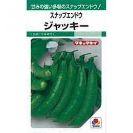 スナップエンドウの種 ジャッキー 1dlの通販はau Pay マーケット 菜園くらぶ