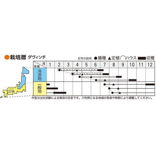 カリフラワーの種 ロマネスコ ダ ヴィンチ 小袋 約50粒の通販はau Pay マーケット 菜園くらぶ