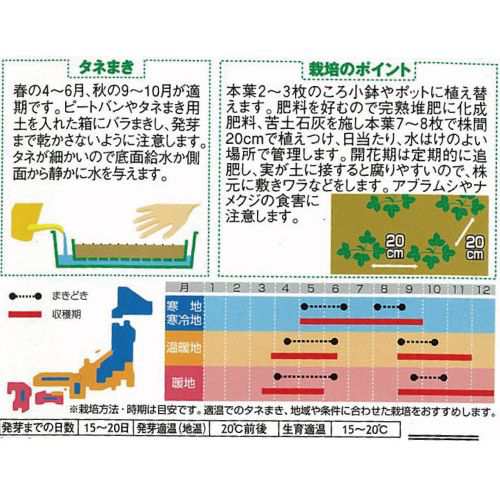 一面いい香り ワイルドストロベリー 四季なりイチゴ 小袋の通販はau Pay マーケット 菜園くらぶ