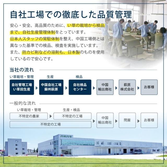 い草 上敷き 8畳 カーペット 夏 本間 撥水 防カビ リバーシブル ペット対応 い草カーペット 抗菌 防臭 正方形 ござ 夏用 ラグ おしゃれ 花ござ いぐさ_5