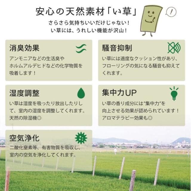カーペット い草 上敷き 10畳 江戸間 夏 い草カーペット 防カビ リバーシブル ペット対応 抗菌 防臭 正方形 ござ 夏用 ラグ 和風 おしゃれ 花ござ いぐさ_4