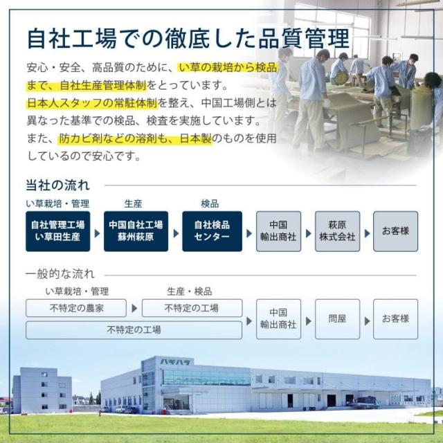 カーペット い草 上敷き 10畳 江戸間 夏 い草カーペット 防カビ リバーシブル ペット対応 抗菌 防臭 正方形 ござ 夏用 ラグ 和風 おしゃれ 花ござ いぐさ_5