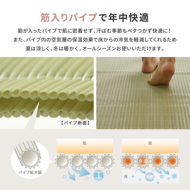 ラグ カーペット 夏用 洗える 夏 8畳 江戸間 上敷き 畳 畳の上 絨毯 上敷き畳 正方形 リバーシブル ござ おしゃれ オールシーズン い草 風 薄手 ペット_5