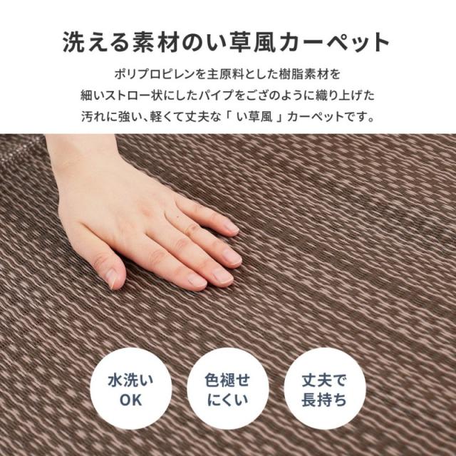 ラグ カーペット 夏用 洗える 夏 8畳 江戸間 日本製 絨毯 リバーシブル ござ 国産 おしゃれ オールシーズン い草 風 薄手 ペット 正方形 ダイニング_2