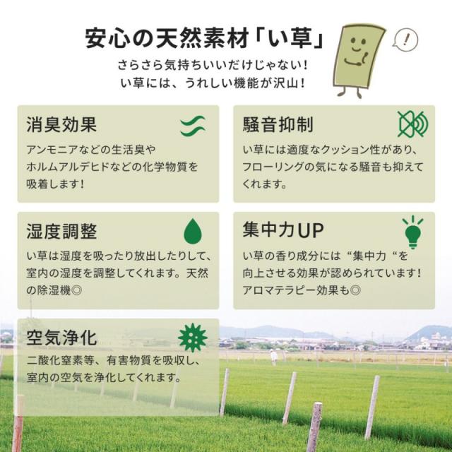 上敷き い草 畳 8畳 ラグ カーペット 本間 畳の上 い草カーペット い草ラグ リバーシブル ござ 抗菌 防臭 消臭 花茣蓙 抗カビ 消臭 上敷き畳 夏用 正方形_3