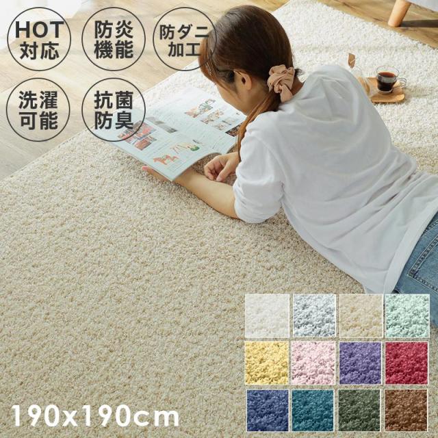 ラグ 2畳 カーペット 冬 シャギー 日本製 冬用 防ダニ 洗える 洗濯機 ホットカーペット 防炎 無地 床暖房 抗菌 防臭 子供 洗濯 ペット 正方形 おしゃれ
