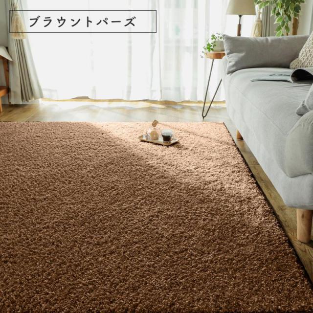ラグ 2畳 カーペット 冬 シャギー 日本製 冬用 防ダニ 洗える 洗濯機 ホットカーペット 防炎 無地 床暖房 抗菌 防臭 子供 洗濯 ペット 正方形 おしゃれ_11