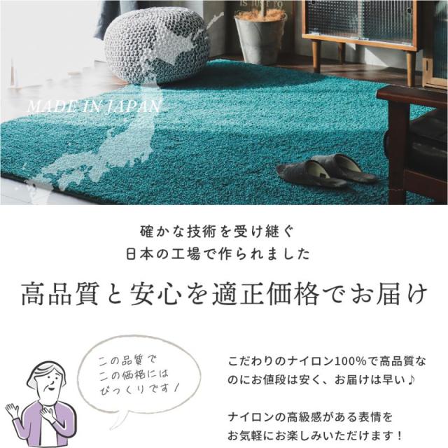 ラグ 2畳 カーペット 冬 シャギー 日本製 冬用 防ダニ 洗える 洗濯機 ホットカーペット 防炎 無地 床暖房 抗菌 防臭 子供 洗濯 ペット 正方形 おしゃれ_5