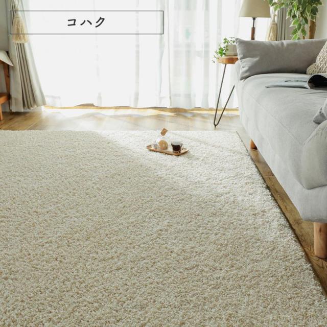 ラグ 2畳 カーペット 冬 シャギー 日本製 冬用 防ダニ 洗える 洗濯機 ホットカーペット 防炎 無地 床暖房 抗菌 防臭 子供 洗濯 ペット 正方形 おしゃれ_8