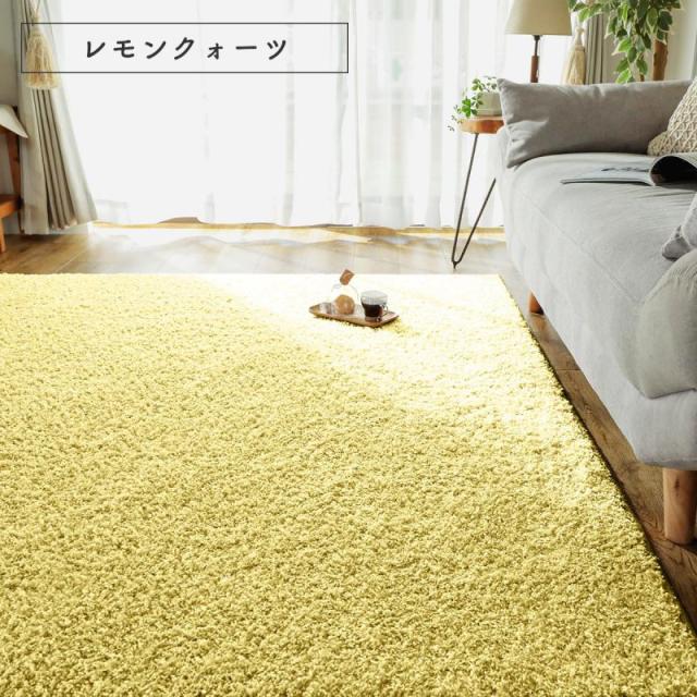 ラグ 3畳 カーペット 冬 シャギー 日本製 冬用 防ダニ 洗える 洗濯機 ホットカーペット 防炎 無地 床暖房 抗菌 防臭 子供 洗濯 ペット 長方形 おしゃれ_18
