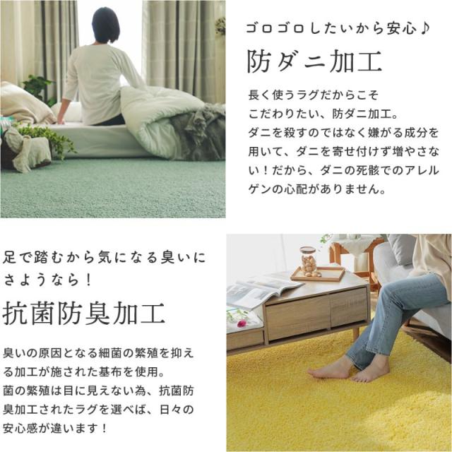 ラグ 3畳 カーペット 冬 シャギー 日本製 冬用 防ダニ 洗える 洗濯機 ホットカーペット 防炎 無地 床暖房 抗菌 防臭 子供 洗濯 ペット 長方形 おしゃれ_6