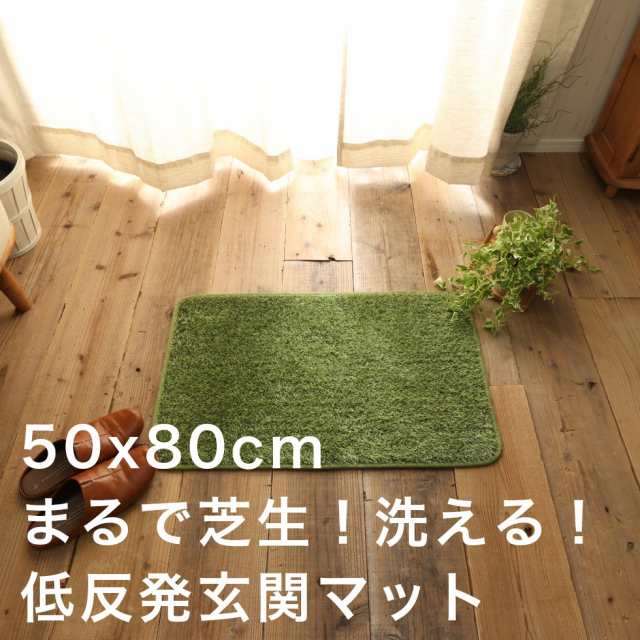 玄関マット 室内 50 80 おしゃれ 洗える 北欧 夏用 大きめ モダン 風水 高級 薄型 50 80 滑り止め 屋内 グリーン マット エントランスの通販はau Pay マーケット Quoli