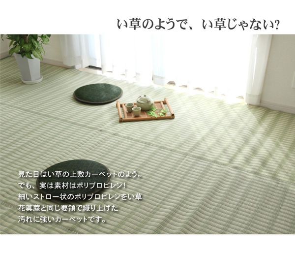 買取り実績 夏用6畳 ラグ 撥水 260 350 日本製ラグマット おしゃれ 防ダニ 洗える ラグ Iowatribeofkansasandnebraska Com