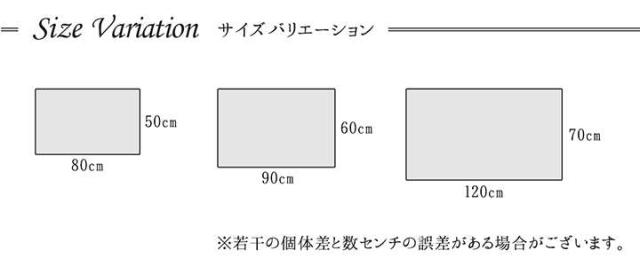 玄関マット 室内 大きめ 冬用 北欧 120 70 風水 北 西 東 南 マット 玄関 屋内 おしゃれ 70×120 エントランスマット 高級感 ラグ 高級 モダン 薄型 冬_5