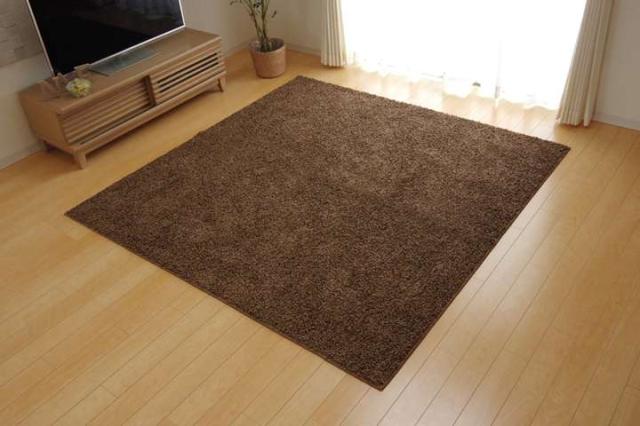 ラグ 冬用 カーペット 3畳 おしゃれ 洗える 6畳 北欧 安い 冬 絨毯 年中 ラグマット 洗濯 防音 シャギー 長方形 190×240_12