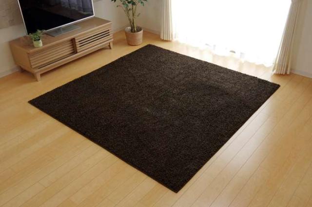 ラグ 冬用 カーペット 3畳 おしゃれ 洗える 6畳 北欧 安い 冬 絨毯 年中 ラグマット 洗濯 防音 シャギー 長方形 190×240_13