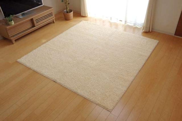 ラグ 冬用 カーペット 3畳 おしゃれ 洗える 6畳 北欧 安い 冬 絨毯 年中 ラグマット 洗濯 防音 シャギー 長方形 190×240_15