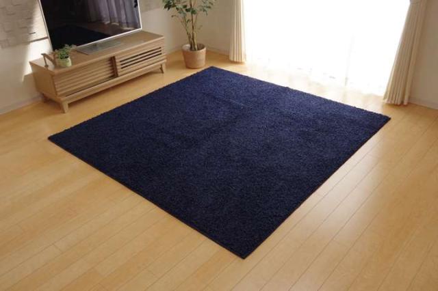 ラグ 冬用 カーペット 3畳 おしゃれ 洗える 6畳 北欧 安い 冬 絨毯 年中 ラグマット 洗濯 防音 シャギー 長方形 190×240_16