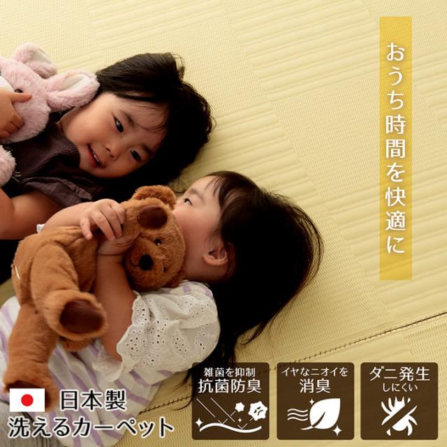 カーペット ラグ 10畳 夏用 日本製 防ダニ 長方形 無地 和風 抗菌 防臭 ペット 畳 薄手 夏 おしゃれ 国産 絨毯 江戸間 和室 畳の上 カバー い草 ビニール 風_1
