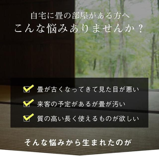 い草ラグ 上敷き 6畳 三六間 撥水 い草カーペット カーペット い草 ラグ いぐさ 国産 畳 夏用 抗菌 防臭 日本製 夏 上敷き畳 リバーシブル_2