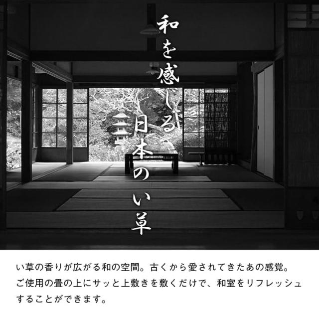 い草ラグ 上敷き 6畳 三六間 撥水 い草カーペット カーペット い草 ラグ いぐさ 国産 畳 夏用 抗菌 防臭 日本製 夏 上敷き畳 リバーシブル_4