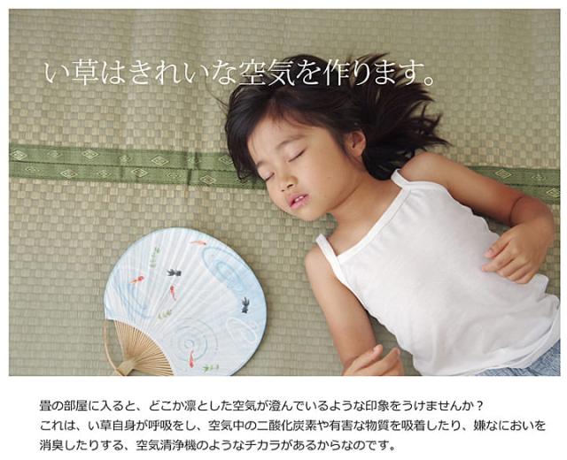 い草ラグ 上敷き 8畳 本間 い草カーペット カーペット い草 ラグ いぐさ 国産 畳 夏用 抗菌 防臭 日本製 八畳 夏 正方形 リバーシブル_8
